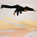 Elvis Stojko